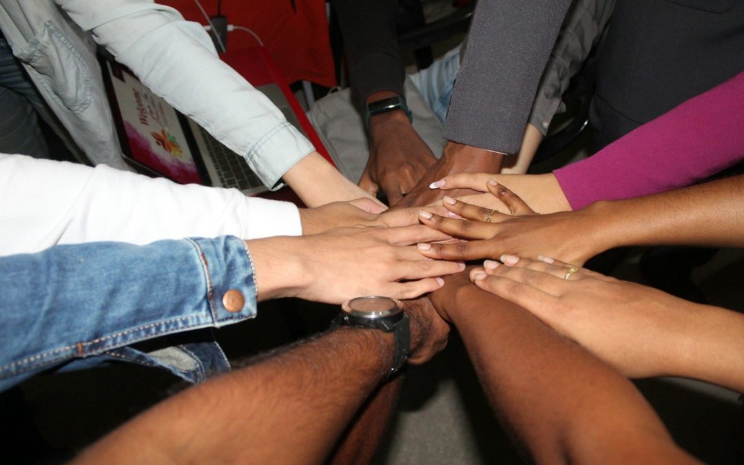 Econolibre Association
